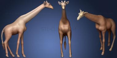 3D модель Жираф (STL)